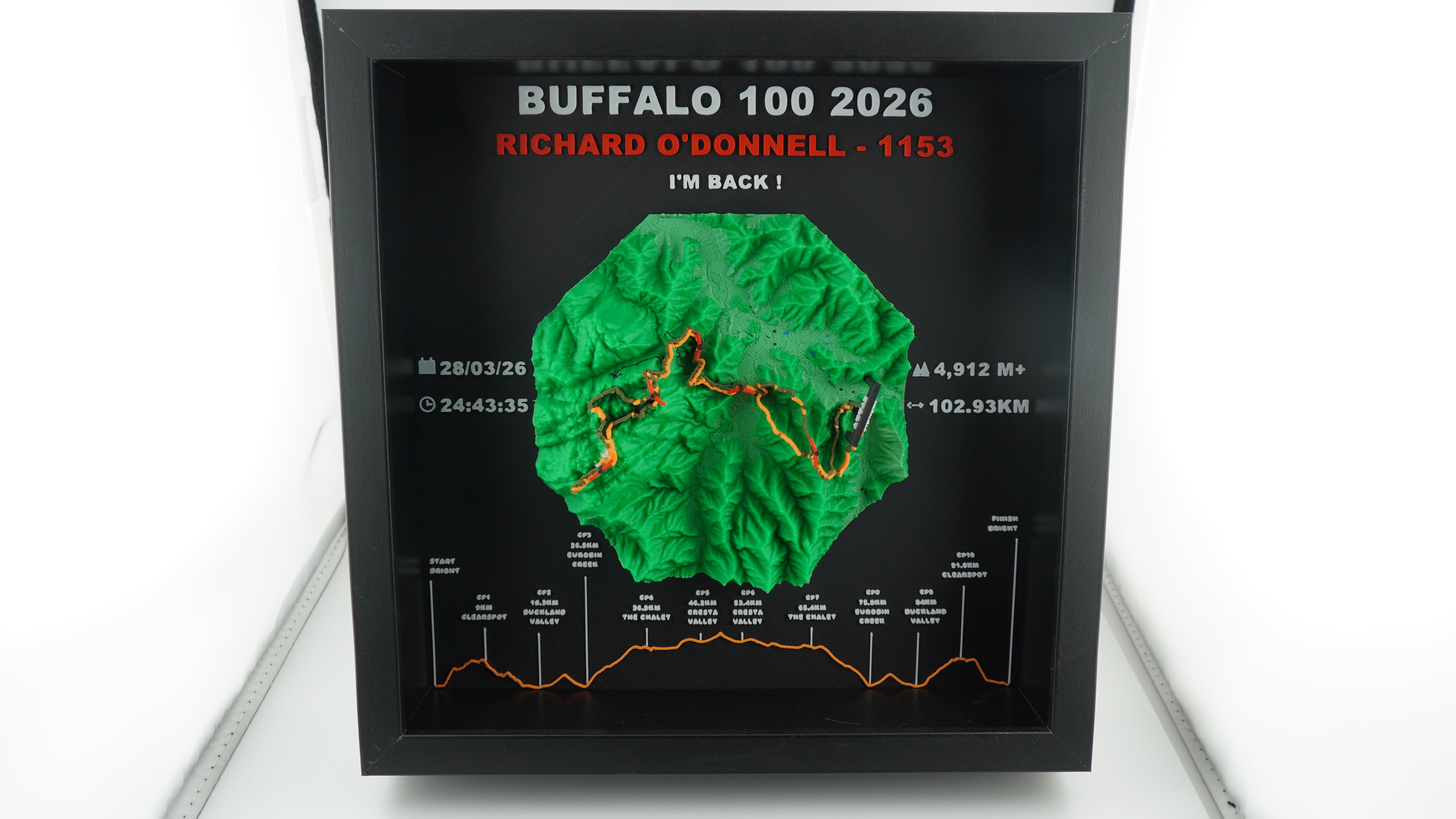 Buffalo Stampede Special Edition
