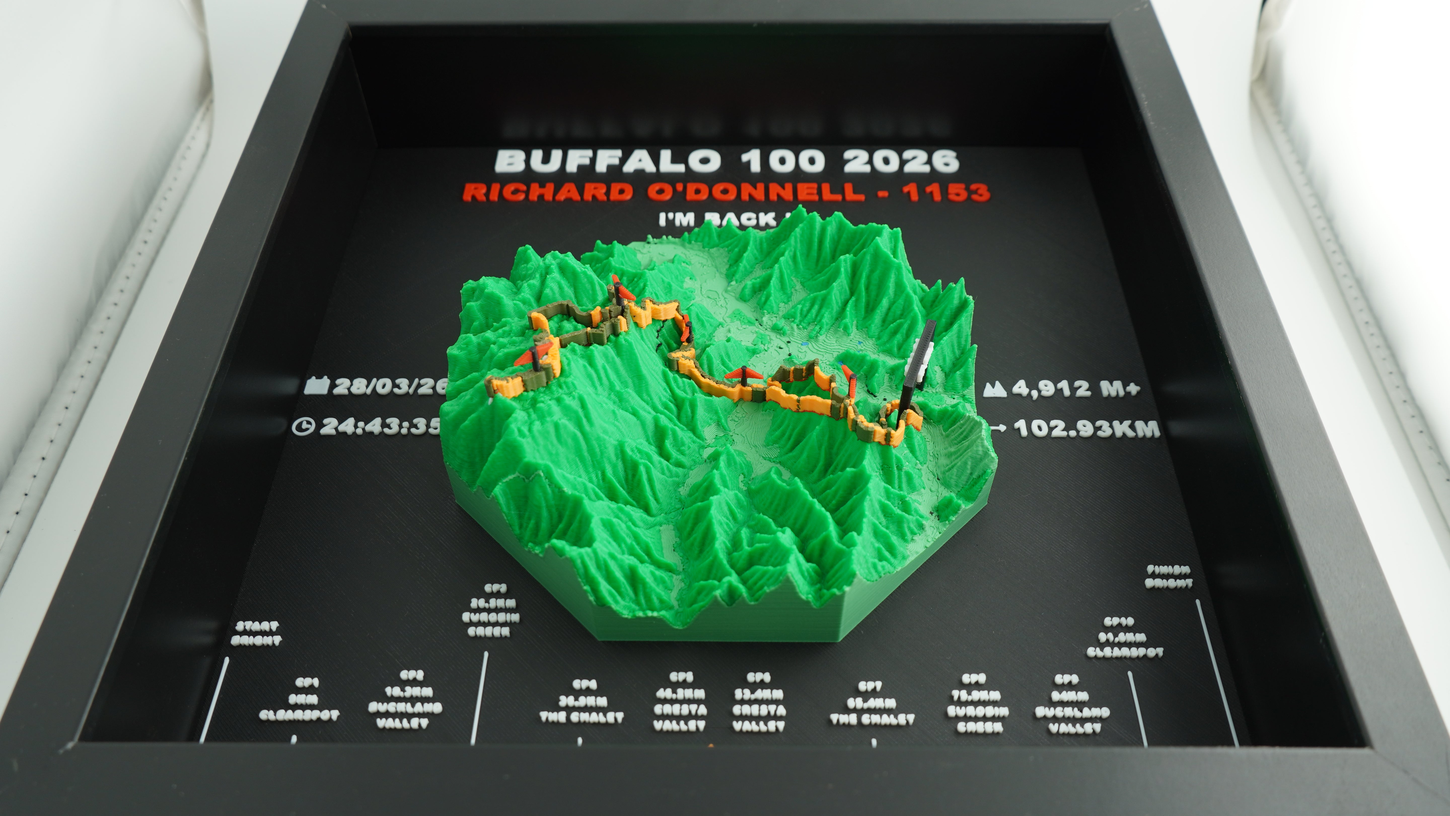 Buffalo Stampede Special Edition