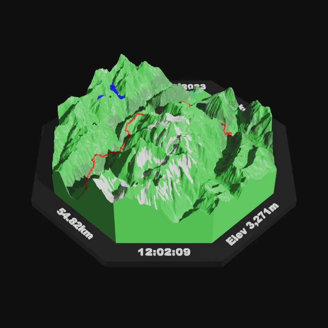 Personalised Event 3D Print - Octagon